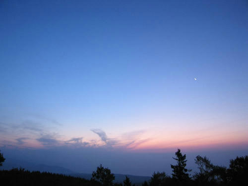IMG_8182-s.JPG