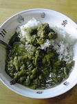 サボテングリーンカレー3