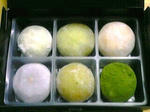 MOCHICREAM