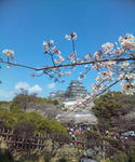 姫路城