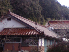 F1000011.JPG