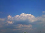 ba3be846.jpg