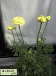 8327d089.JPG