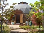 pochi-4.JPG