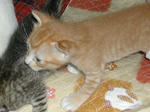 DSCN1293-1.jpg