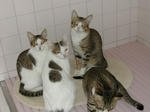 DSCN1464-1.jpg