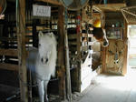 DSCN2233-1.jpg
