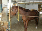 DSCN2235-1.jpg