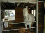 DSCN2236-1.jpg