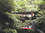 DSCN4102-1.jpg