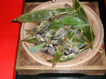 DSCN4107-1.jpg