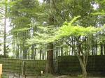 DSCN4123-1.jpg
