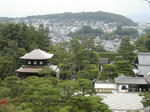DSCN4124-1.jpg