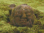DSCN4134-1.jpg