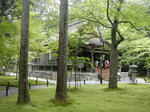 DSCN4137-1.jpg