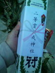 P1000156.jpg
