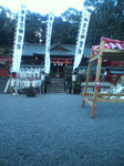 P1000154.jpg