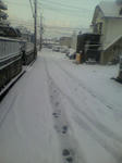 P1000167.jpg