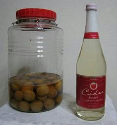 alch drink