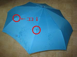 umbrella
