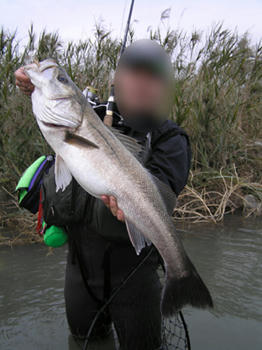 blog041016PA160005.JPG
