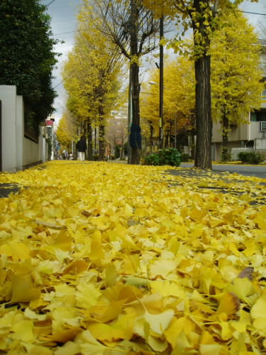 blog081205-PC050003