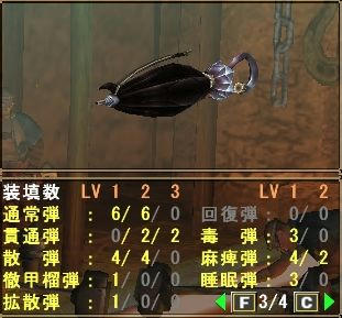 ヴァシ傘２