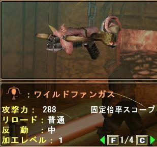 ワイルドファンガス