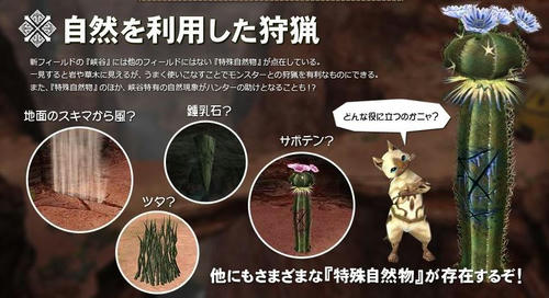 自然って凄いよね