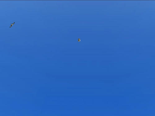 消えて行った・・・