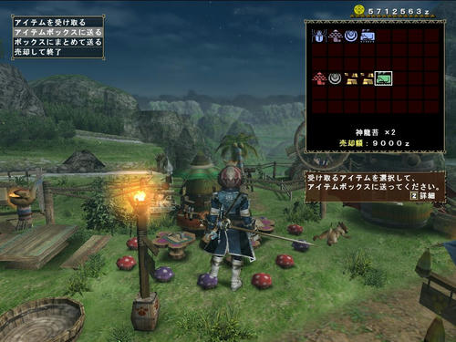 神龍苔はぬこから
