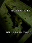 わんこ