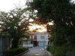 11_8sp07883.jpg