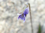 10_11osvh09031.jpg