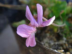 19_11gvak09370.jpg