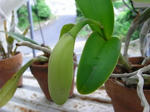 3_6gk2159.jpg