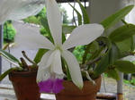 5_6gk2177.jpg