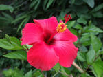 13_7gfhb2504.jpg