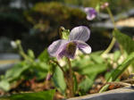 6_4gva0664.jpg