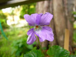 29_5vhm0931.jpg