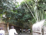 11_9ys1088.jpg