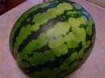 17_7_10gve4640.jpg