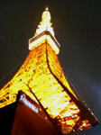 20061208194539.jpg