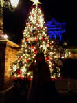 20071117210441.jpg