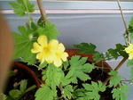 20080714090109.jpg