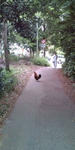 20090516164554.jpg