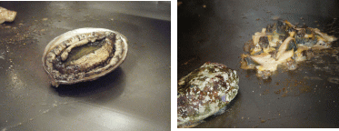 4.gif
