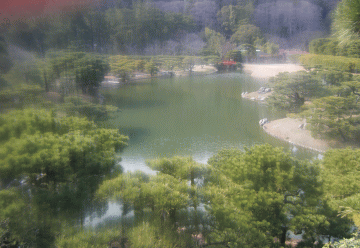 2009021704.gif
