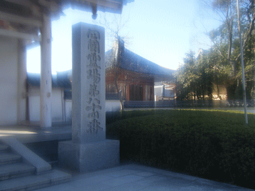2009021705.gif