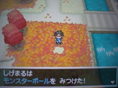 紅葉の季節